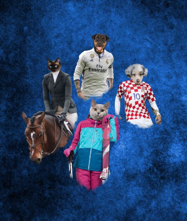 Pet Sports Collage scaled