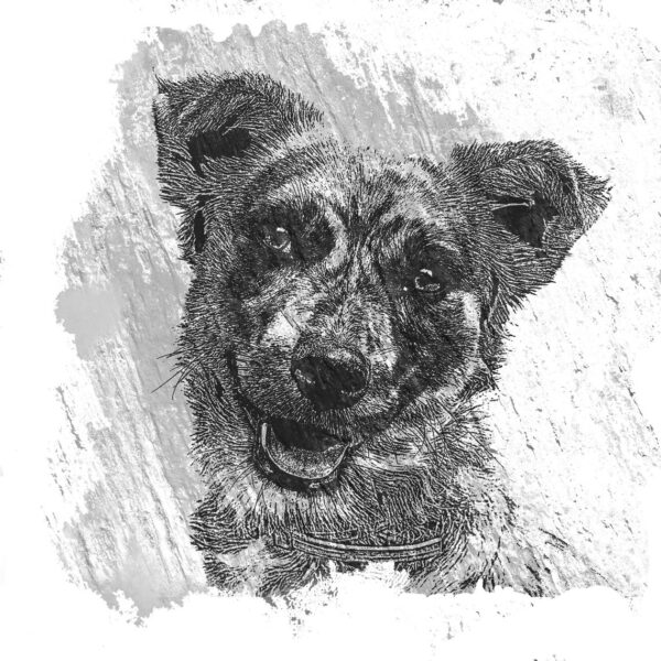 Pet Pencil Sketch Portrait
